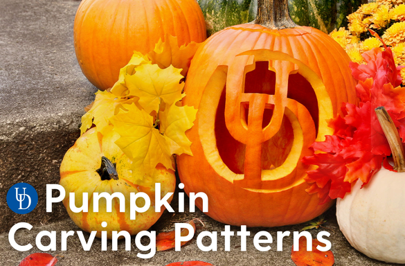 UDalumni's tweet photo. Add some Blue Hen spirit to your autumn with these HENchanting pumpkin carving patterns! #BlueHensForever https://t.co/w23hCSpcnq