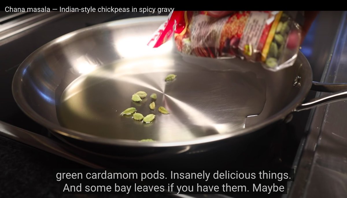 I'm still reeling from this chana masala video where the suggestions are1. nine fucking cardamom pods for a serving for four, 2. eating the fucking cardamom pods, 3. adding sugar to the salan, 4. freezing the chana into terrifying masala cubes