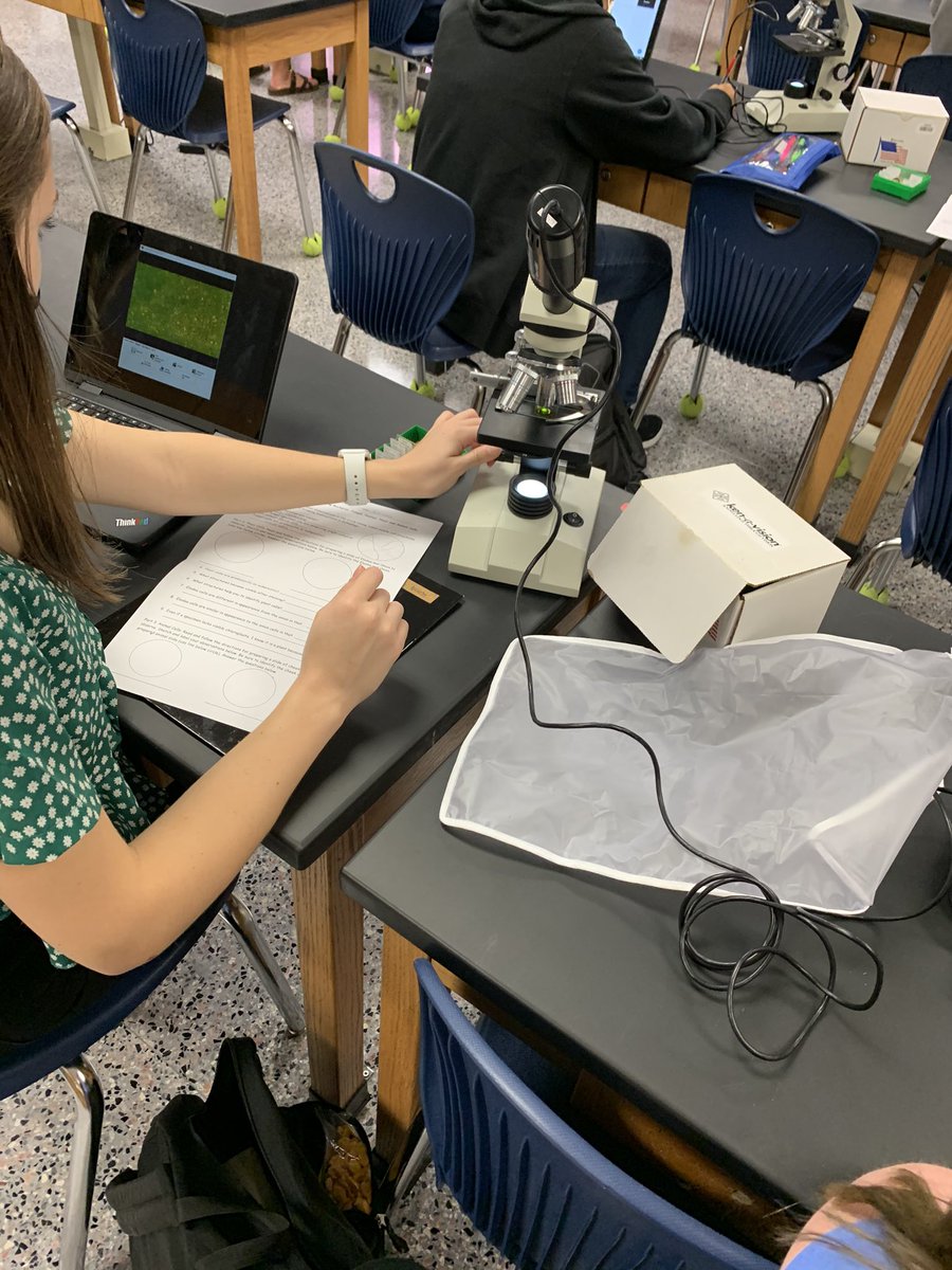 SarahLanders9's tweet image. What’s better than observing fungal cells on a Friday?  The @KleinCollins Pre-AP Biology KOL and KOC Ss are labeling visible cell structures by screen sharing using the Ken-a-vision PupilCam with KOL Ss @kimdmoore1 @KleinISDscience #technologyiscool #Every
