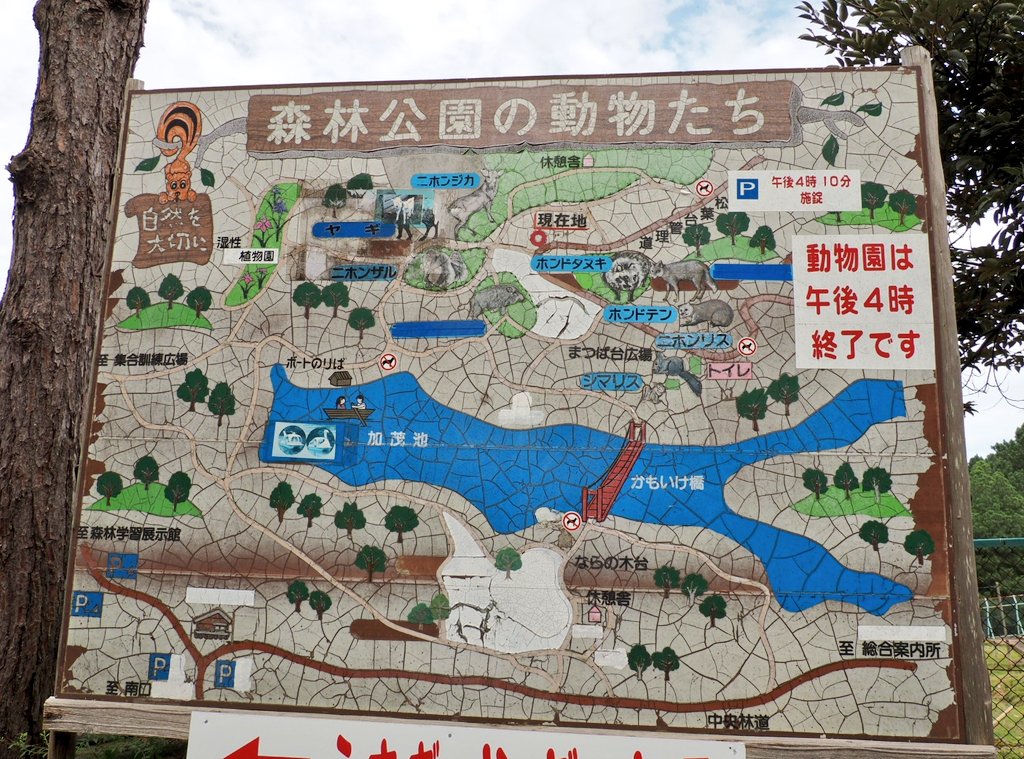 先月、石川県森林公園へ行って来ました!
#石川県森林公園 https://t.co/o5bBWTeB5j