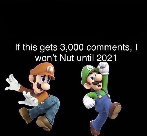 𝐭𝐢𝐳 ✰ tweet media