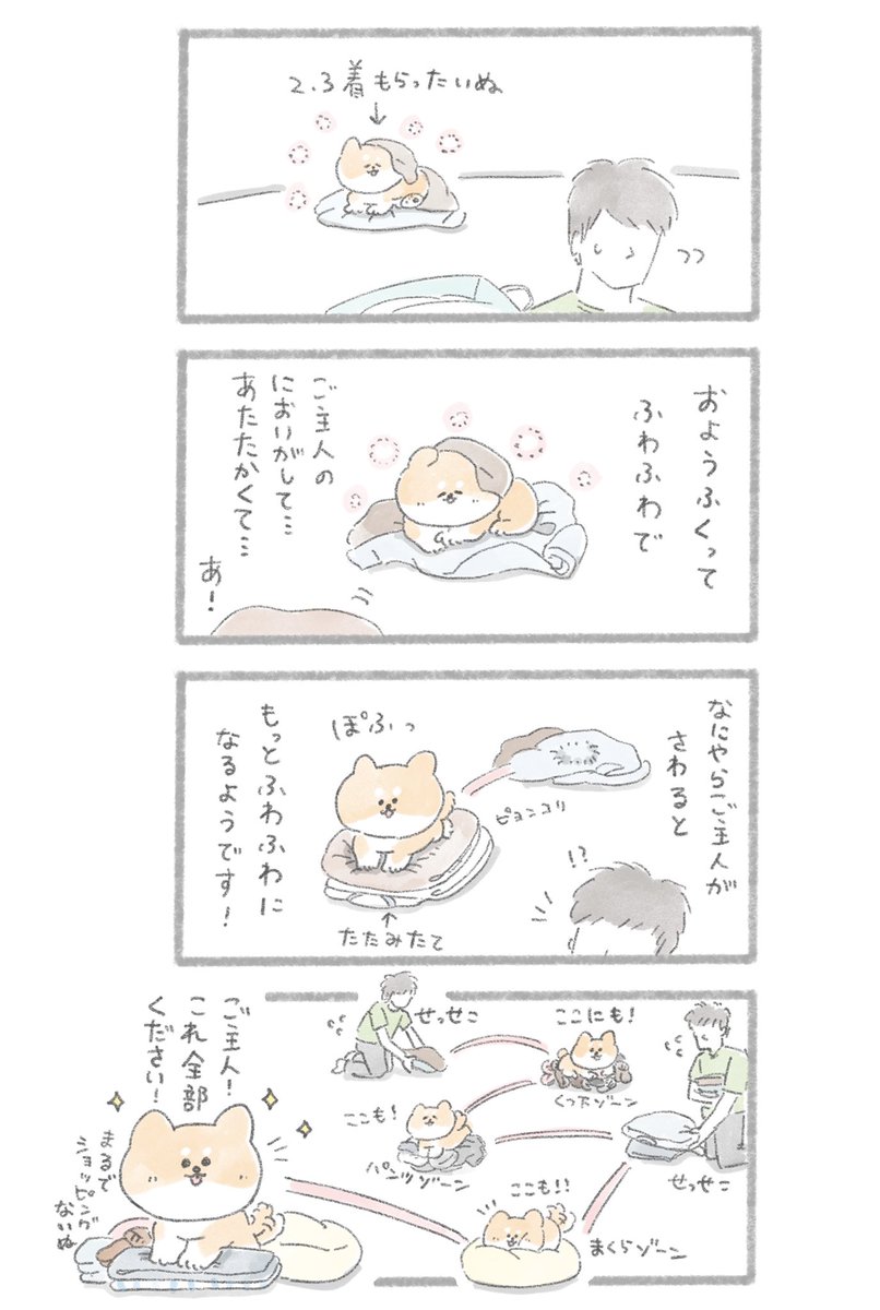 お宝の山
#こんにちはいぬ 