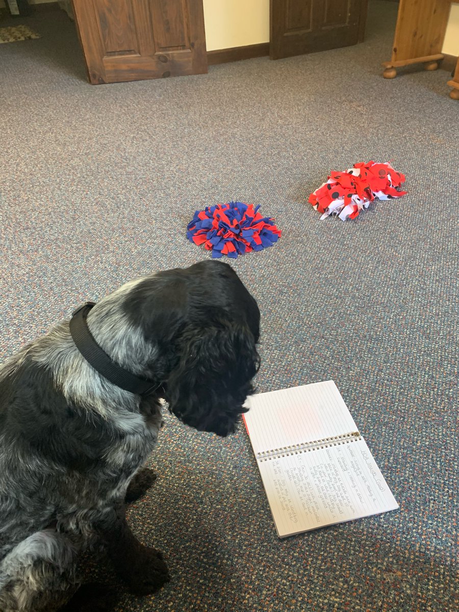 Hearing Dogs for Deaf People tweet media
