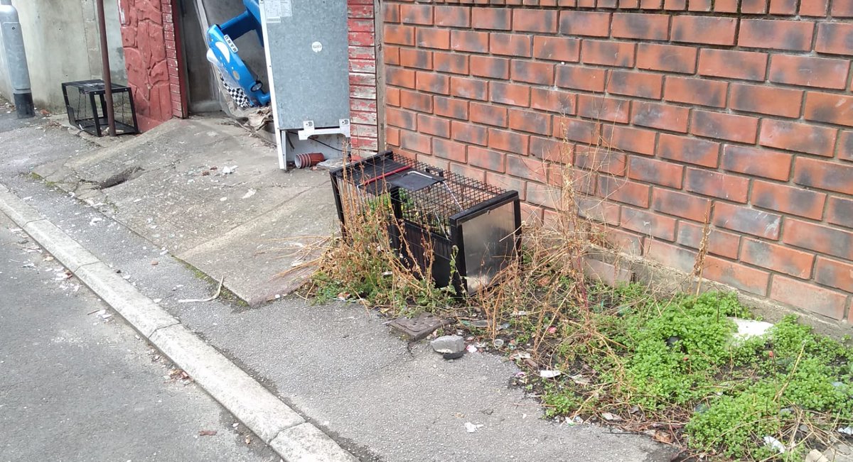 We're in Harehills in Leeds today (very unsuccessfully) trying to catch some cats that will no doubt create a feral colony in no time at all
Would there be anybody closer than us to help us, please?
<a href="/CatsProtection/">Cats Protection</a> <a href="/RSPCA_official/">RSPCA (England & Wales)</a> <a href="/LeedsCatRescue/">Leeds Cat Rescue</a>