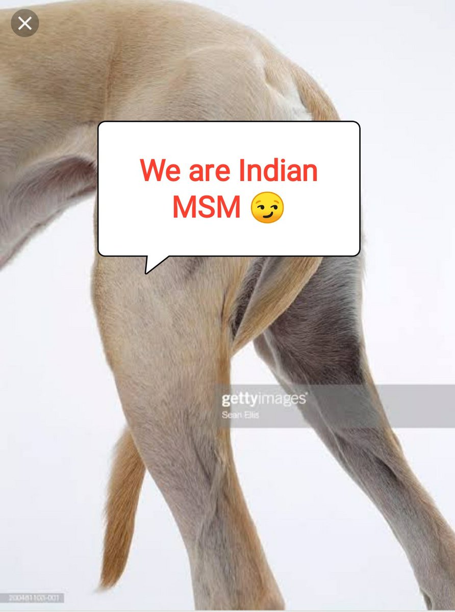 JumbuTweeple's tweet photo. #PICTURE 
OF #IndianMainStreamMedia this
Morning ,after #Hathras , on # Rapes in
#RAJASTHAN https://t.co/LMrfkSQ9s2