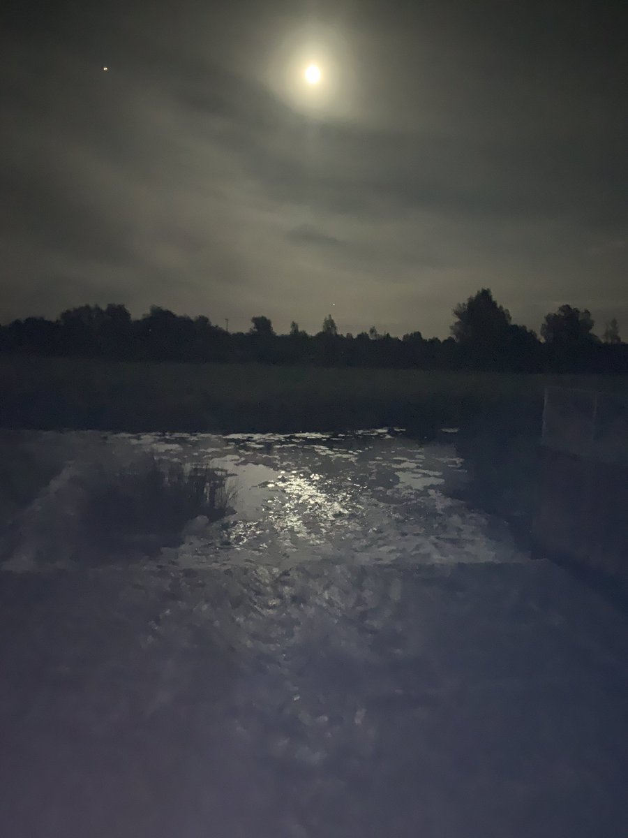 AnneLinsell's tweet photo. Sometimes it’s the simple things a moonlit swim 🏊♀️ on the River Nene #wellbeing #health #timeoutside #gratitude #health #coldnotcold https://t.co/DggIbkvGGy