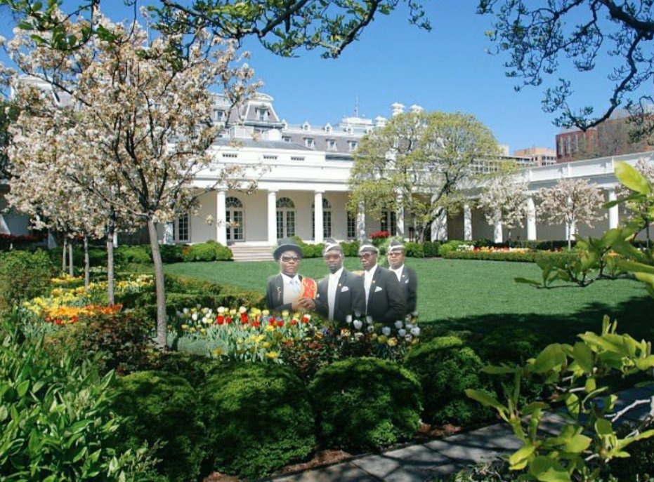 Donald Trump 🇺🇸 ᶠᵃᵏᵉ tweet media