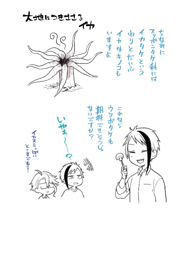 おまけのイカ=^・ω・^= 