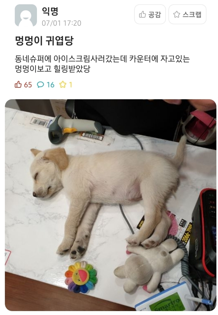 healing_storage's tweet photo. 인형 꼬질꼬질한거 봐 정말 신나게 놀았나봐 https://t.co/mGthYD8QZf