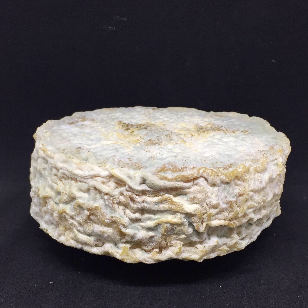 wellDone_quesos's tweet image. “...el queso es leche cruda y bacterias, lo(s) demás es ilusión...”
#wellDone #lechecruda #QueRed