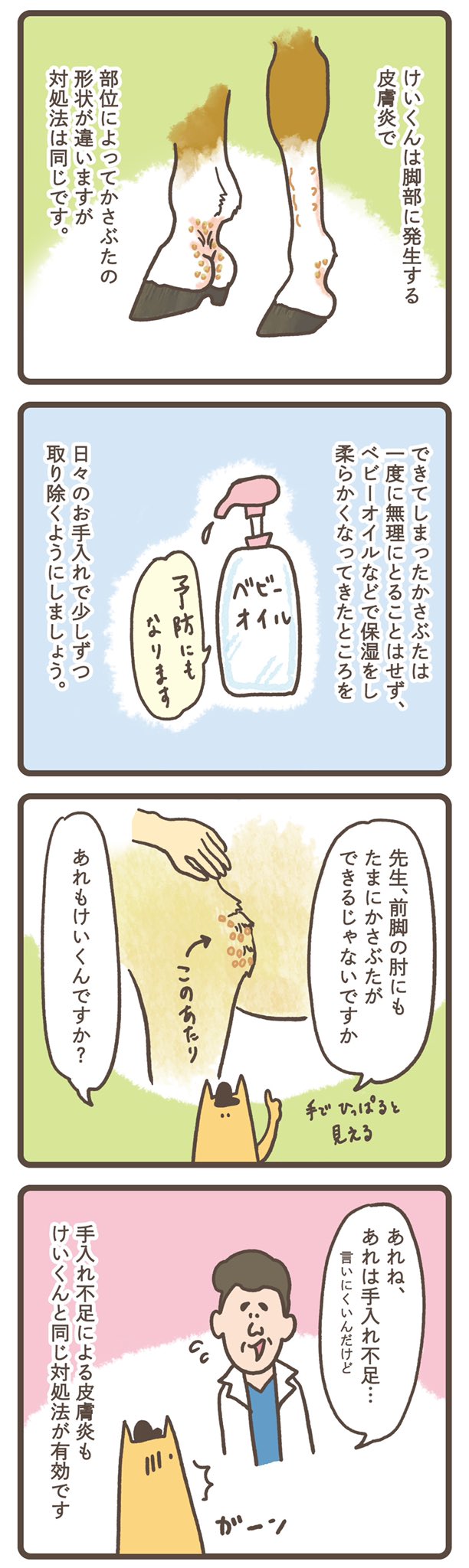 Itsumi 斉藤いつみ 馬の絵画家 そろそろけいくんの季節 馬 ライフ年1号に掲載した 美浦トレセン松永獣医師監修の皮膚疾患解説 けいくん フレグモーネ の4コマ漫画です 詳細はぜひ誌面を読んでみてくださいね 私はこれで前脚肘のものもけいくんだと
