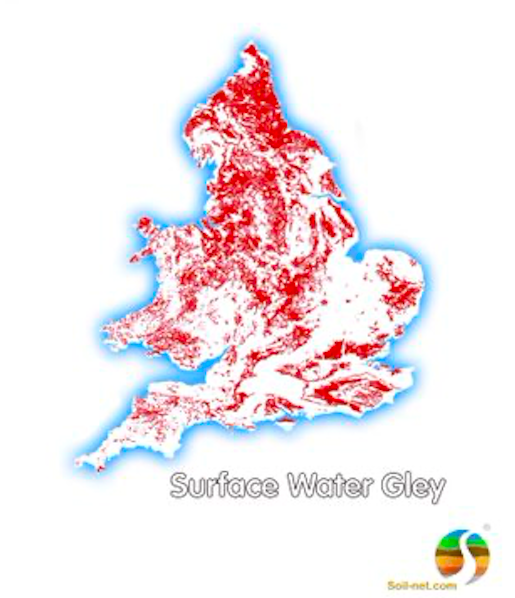 The slowly draining surface water gley soils are quick to saturate and slow to drain. The high clay content in the subsoils mean they hold water and nutrients longer, and when saturated generate a lot of natural over land flow and are easy to compact. 4/
