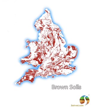 In the South West this includes freely draining light sandy brown soils lay over a permeable geology and can absorb vast quantities of water, but this also means they are prone to nutrient leaching. /3