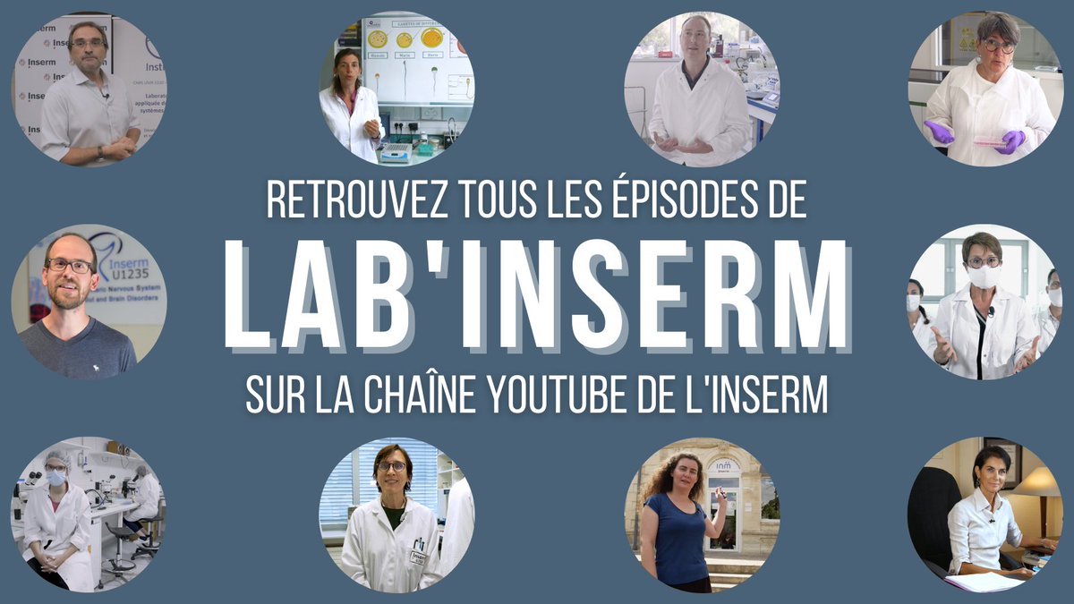 Inserm's tweet photo. #LabInserm #FDS2020 – Retrouvez l’ensemble des vidéos @Inserm et plongez au cœur des laboratoires de #Montpellier #Paris #Strasbourg #Nantes #Lyon #Marseille #Toulouse et #Lille #LaSciencePourLaSanté
📽️ https://t.co/uVJ7t3wCOU https://t.co/YWJOAi1h1h