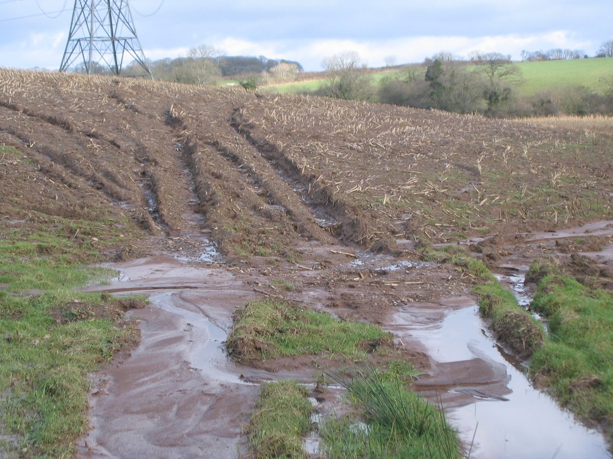 Well managed soils can not only produce food but also store carbon and regulate water flow, but if mismanaged they can become damaged. In the South West it is estimated that 38% of our soils suffer from severe degradation.  https://onlinelibrary.wiley.com/doi/abs/10.1111/sum.12068  6/