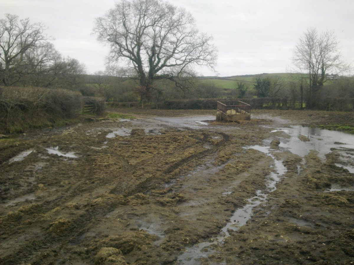 Well managed soils can not only produce food but also store carbon and regulate water flow, but if mismanaged they can become damaged. In the South West it is estimated that 38% of our soils suffer from severe degradation.  https://onlinelibrary.wiley.com/doi/abs/10.1111/sum.12068  6/