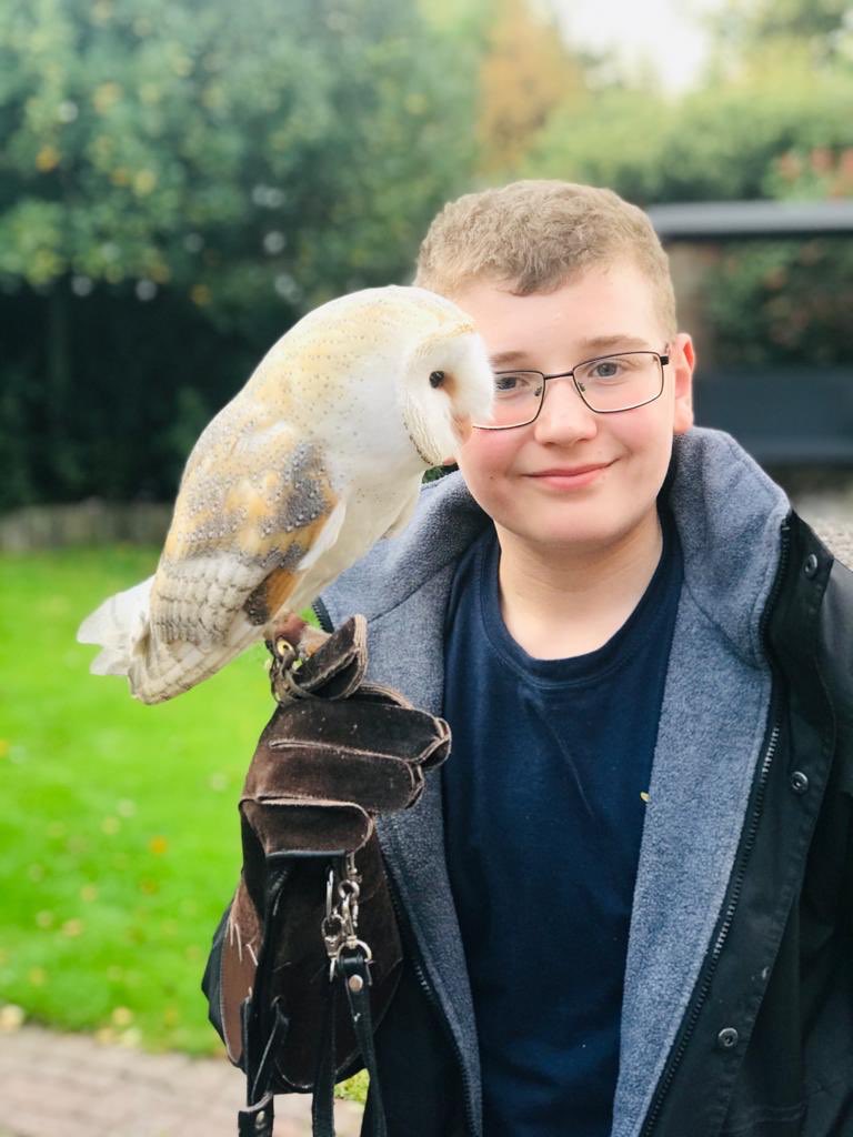 Alexander's Journey tweet media