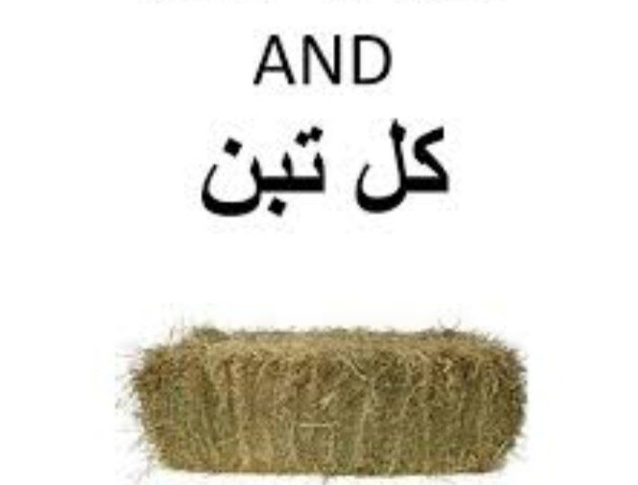 MeshZiya's tweet photo. L wati yalle baddo ya3mol unfollow.
Ykoun 3endo l sharaf ya3mol block w unblock w yshil l follow men 3endo kamen.
W aktar shi bo2sod be Hal 7ake( Zeinab w Rana) yalle 3endon bel 2loufetttt
#bajam https://t.co/e9MYDbdmuP