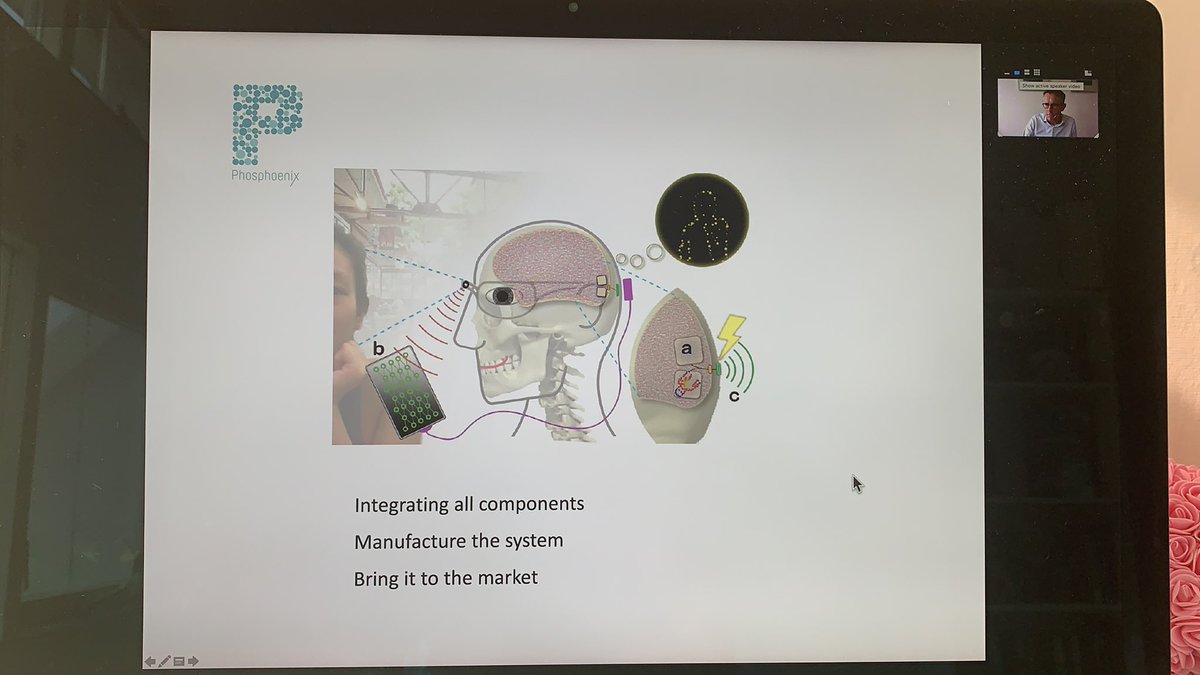 NIN_knaw's tweet photo. Kick-off meeting of the new Intense project (Innovative NeuroTechnology for Society) which focuses on brain implants to restore lost functions like vision. https://t.co/v5j3aQVHVx