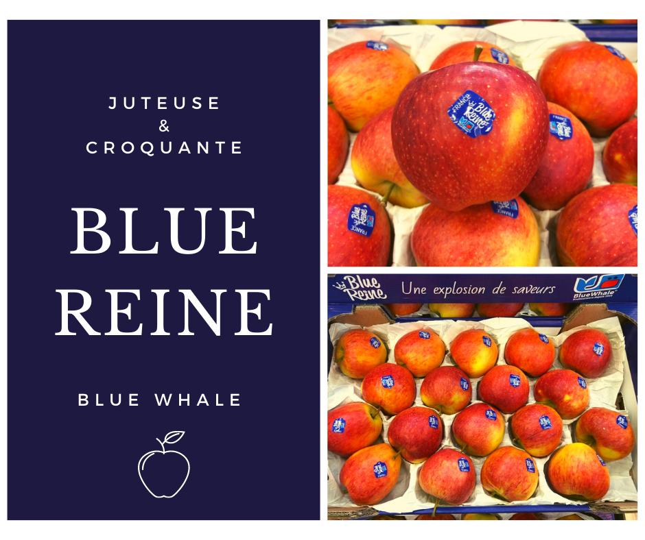 AgenceLaparra's tweet photo. 100% Française la Blue Reine est une pomme aux saveurs d’autrefois ! Juteuse et Croquante, elle a une très bonne conservation. 

N’hésitez pas à nous contacter ! 

#bluewhale #Minderungis #Helthyfood #originefrance #autumn https://t.co/4SA2jV4Vcl