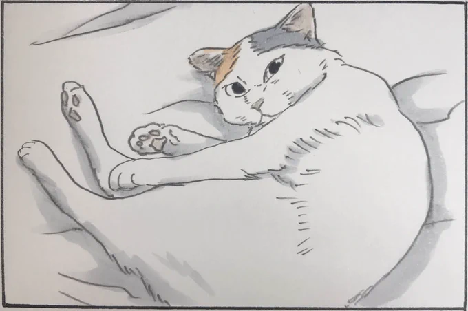 『モフモフチャレンジ』 