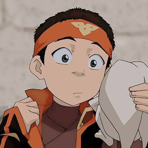 AANG IS A HUFFLEPUFF by 73% of 45 votes!!!