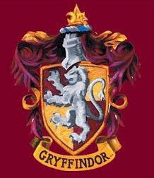 ZUKO IS A GRYFFINDOR!!! by 41% out of 17 votes!!!
