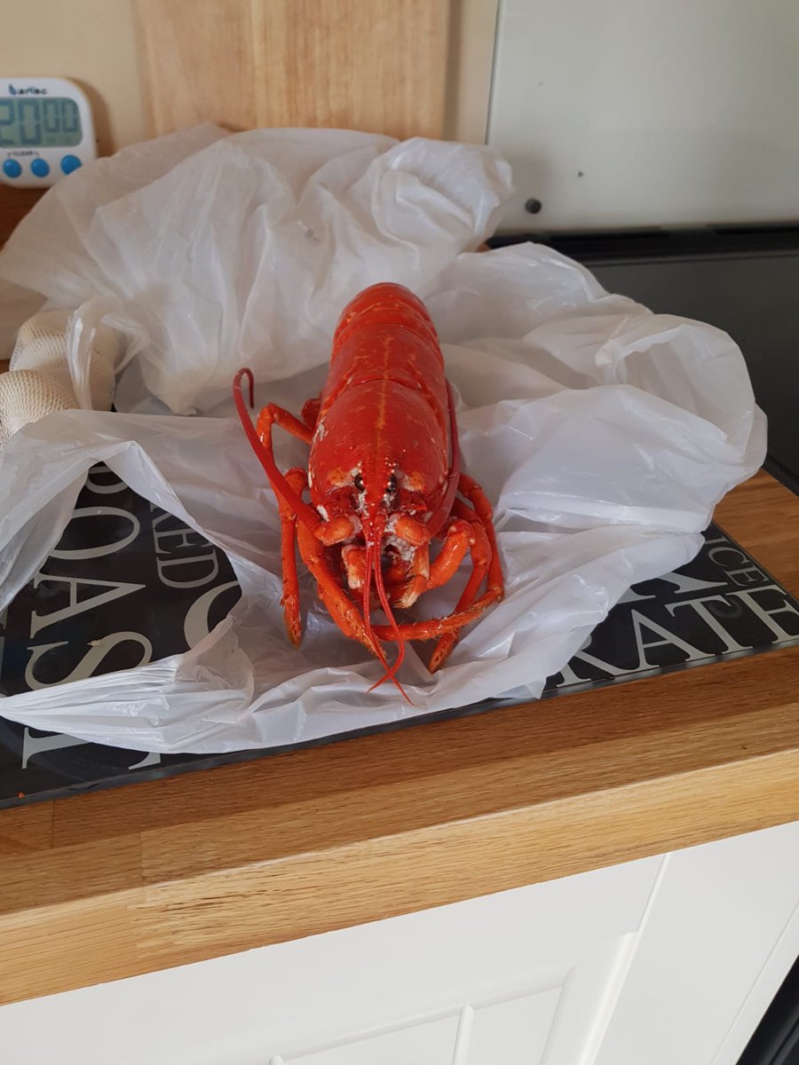 Paul Frith is getting all the sunshine and seafood during his time away in the Outer Hebrides!!

#VisitScotland #Scotland #seafood 
#recruitment #Construction