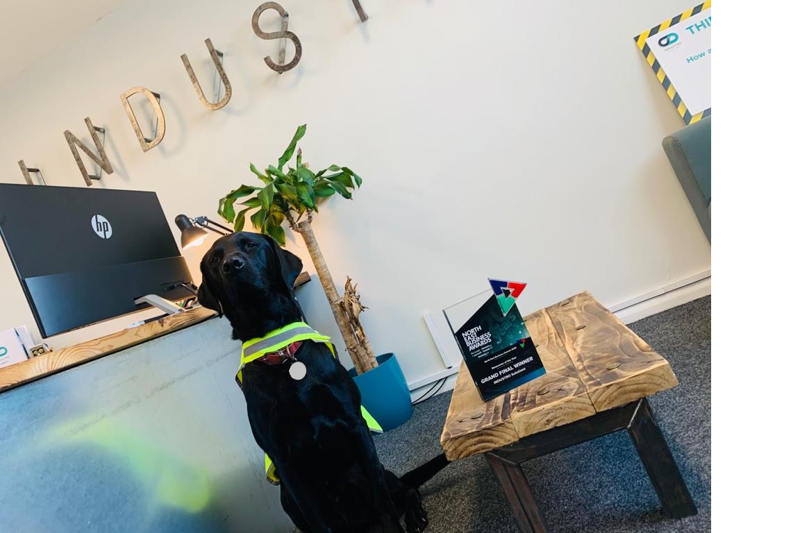 INDUSTRO Engineering Solutions tweet media