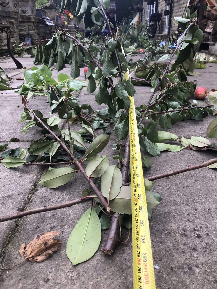 Maria Jenkinson tweet media