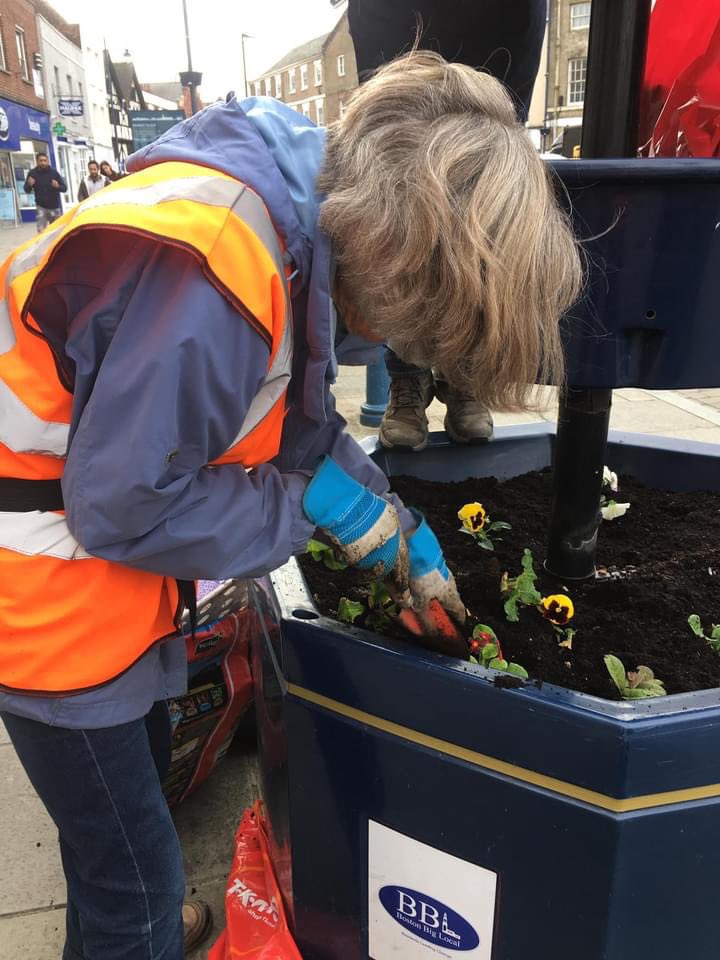 bostoninbloom's tweet photo. We did it! Planted nine planters and revived two or three where pigeons had nested in the chrysanthemums planted a couple of weeks ago. they had nipped off all the flowers. But the pansies and daisies look lovely. Must have planted 500 bulbs under all the plants. Now it can rain. https://t.co/YFWqDVb6ru