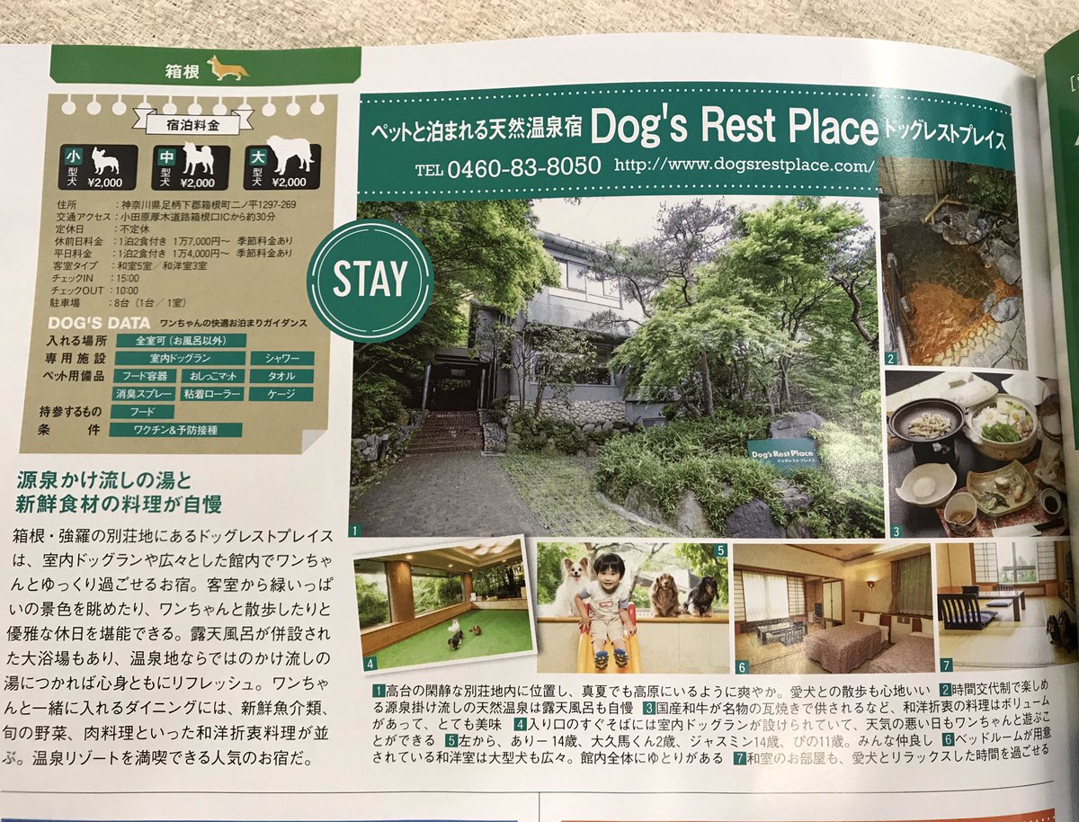 dogsrestplace's tweet photo. Twitterをはじめて2年になりました💖

先日の
#雑誌の取材  
#愛犬と行く旅 
本が届きました✨

#看板犬　たちと
#看板息子 
が写っております😊

よろしくお願いいたします🐶

#箱根 
#ペットと泊まるホテル
#天然温泉 
#室内ドッグラン
#三密避けて営業中 
#gotoトラベル
#犬好きさんと繋がりたい https://t.co/NnDofB8wnp