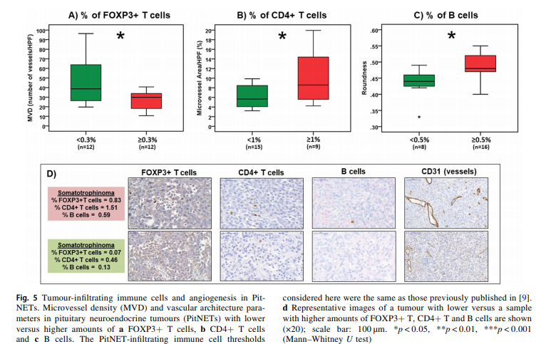 sociedadSEEN's tweet image. Los macrófagos M2 parecen desempeñar un papel en la neovascularización de #PitNET, mientras que los linfocitos B, CD4 + y FOXP3 +, así como los elementos TME no celulares como CCL2, CXCL10 y CX3CL1, también pueden modular la angiogénesis de #PitNETs 
ow.ly/BSxa30rbHtv