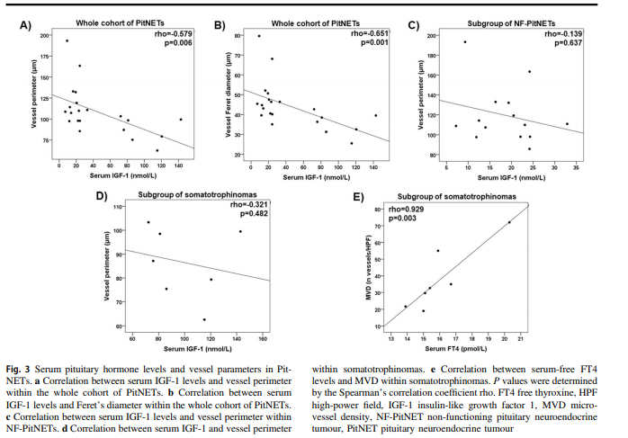 sociedadSEEN's tweet image. Los macrófagos M2 parecen desempeñar un papel en la neovascularización de #PitNET, mientras que los linfocitos B, CD4 + y FOXP3 +, así como los elementos TME no celulares como CCL2, CXCL10 y CX3CL1, también pueden modular la angiogénesis de #PitNETs 
ow.ly/BSxa30rbHtv