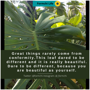 formchi's tweet photo. You have gone through so much and here you are, keep going. Live your life as yourself, and do not apologise for being who you are. #womenwholead #menwholead #beboldbeyou #authenticcore #Fridaymotivation https://t.co/RuK5zTVrsc