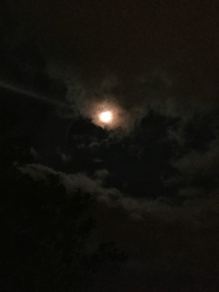 QueerAstroData's tweet photo. Cards for this Full moon from my TrAncestors🌝
Q: biggest lesson? A: Resilience, rise above
Q: most urgent block? A: Guilt, mistakes are human, learn from them
Q: Most helpful actions? A: marvel at the stars, walk under their beauty &amp; ask for ancient protective light🌟
#ancestors https://t.co/Zaf3DuprQc