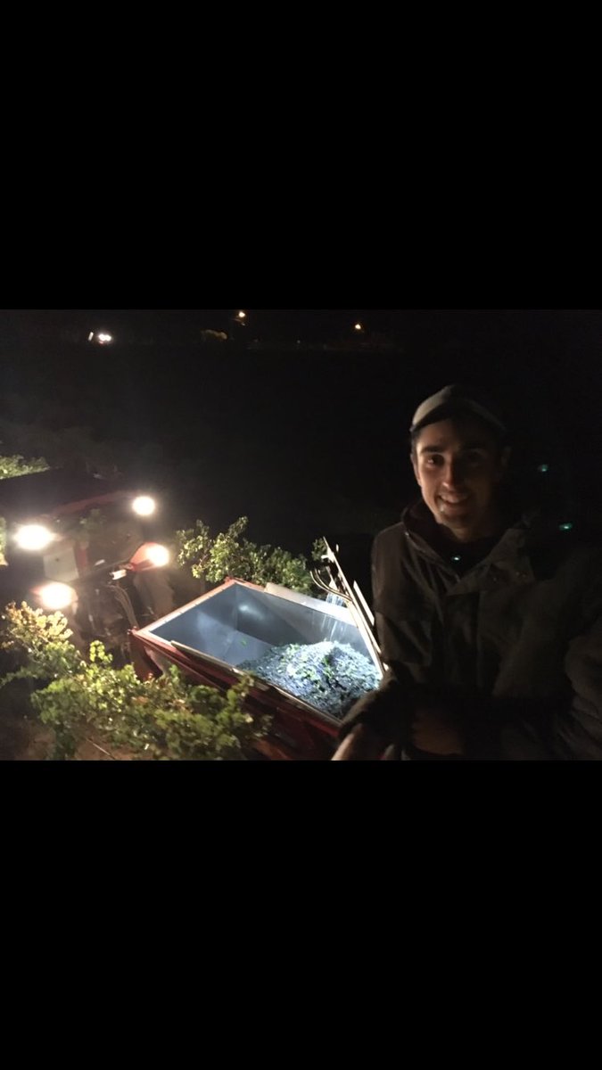 After 18 months, today was my last day on the ANZ Agri Graduate Program. I want to thank everyone that has put their time into my development and given me the opportunity to experience different parts of regional Australia. Looking forward to my new role with ANZ in Shepparton!