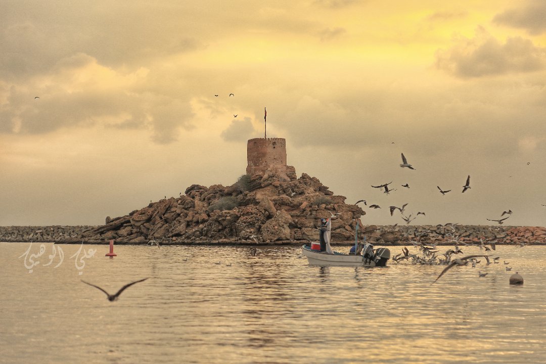 استمتع بالأشياء الصغيرة في حياتك لأنك يومًا ما ستنظر للوراء وتدرك بأنها كانت كبيرة🕊 مساء الورد