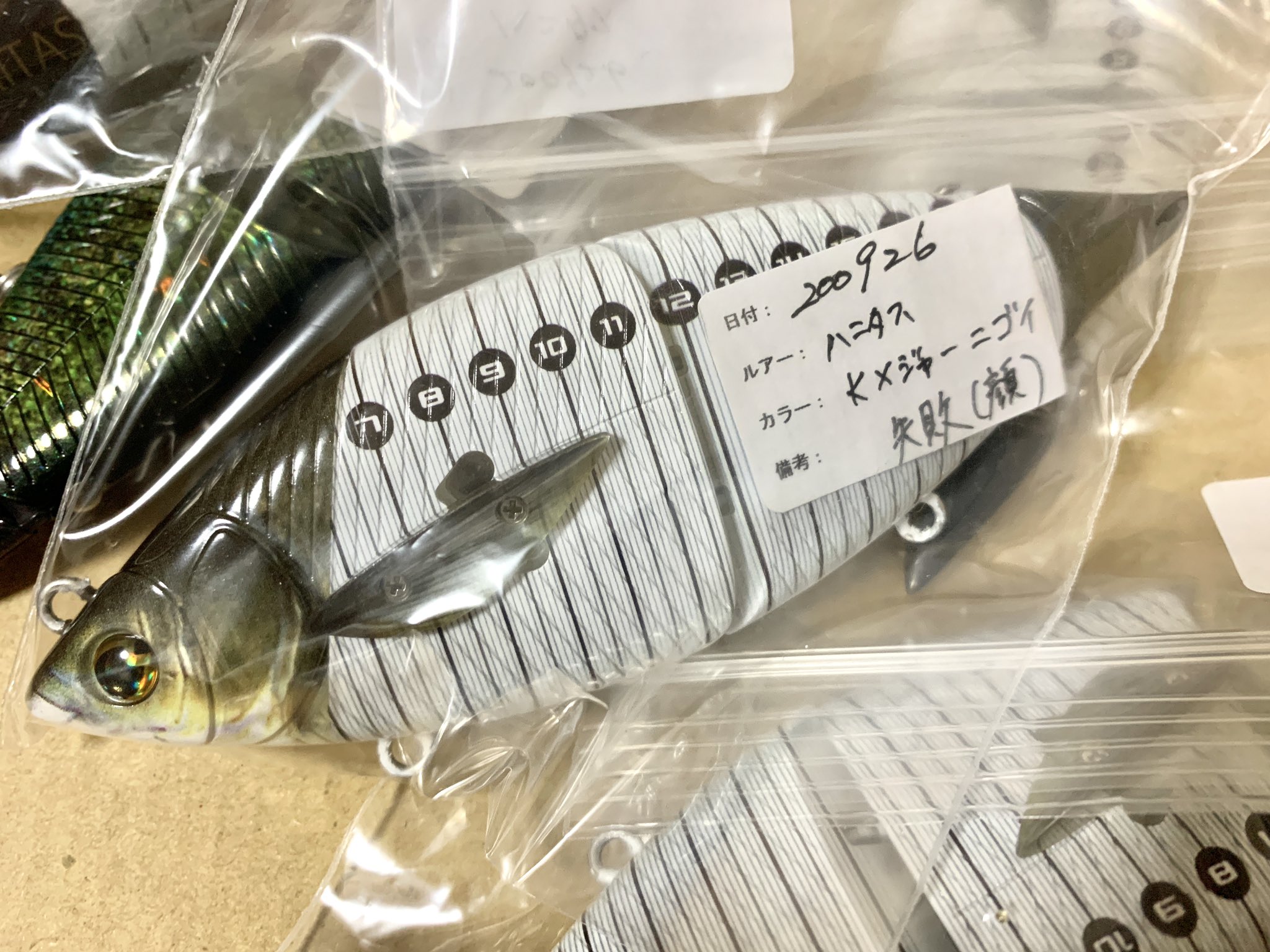 ハニタス　Kメジャー　Kのフィッシングチャンネル限定カラー ハニタス Kのフィッシングチャンネル限定カラー Kメジャー 似鯉