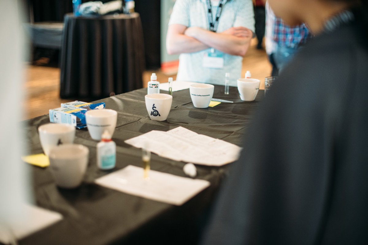 SpecialtyCoffee's tweet photo. Sensory Skills 🥄 Learn about sensory evaluation in an interactive manner. We investigate the way we perceive taste, how to evaluate coffee's natural characteristics, and implementing this knowledge in business.

Find your #CoffeeSkillsProgram course: https://t.co/I9y54xfAb3 https://t.co/OTA2soLxeP