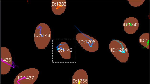 KristinaUlicna's tweet photo. #DeepTree🌳(15/🧵):
Evidence of coolness #1: #Arboretum allows you to visualise each segmented cell (=nucleus) trajectory in real-time⌛ using a visually appealing colour palette based on cell ID, parent ID, root ID, phase label, cell fate & much more...📈
https://t.co/D6heeG76dK https://t.co/3Zdav5RPVo