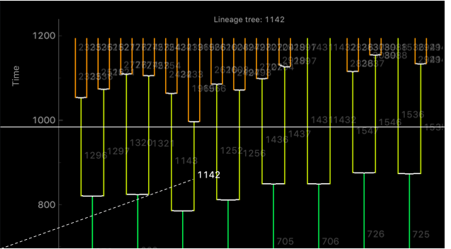 KristinaUlicna's tweet photo. #DeepTree🌳(16/🧵):
Evidence of coolness #2: #Arboretum allows you to shortlist individual cells & put them in the context of its lineage tree🌳 The previously boxed cell was in frame #994 = its lineage was imaged for ~66hrs⌛. It's about to divide soon👩👧👧!
https://t.co/D6heeG76dK https://t.co/qMEU6KrGyE