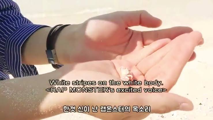 Don't you love it when namjoon starts talking with crabs and holds them so gently ?