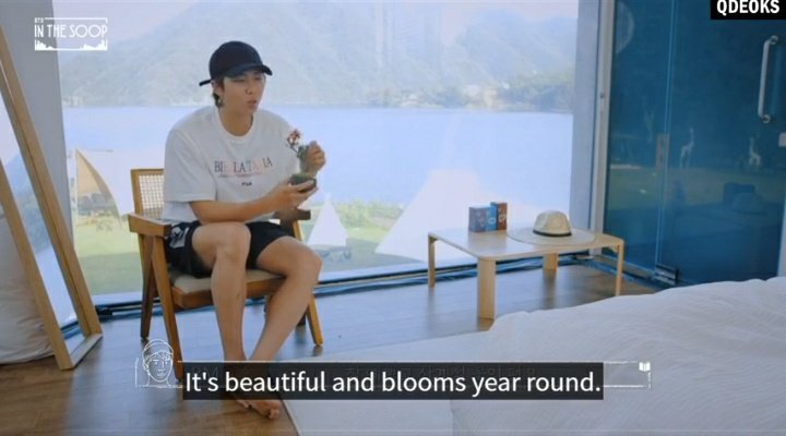 Don't you love it when namjoon talks with his plant like this ?