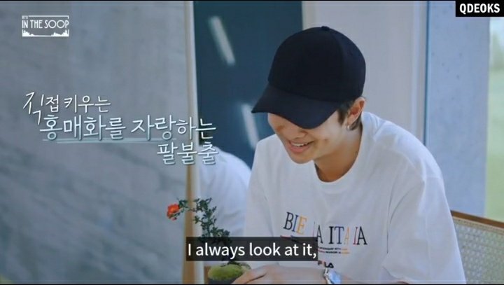 Don't you love it when namjoon talks with his plant like this ?