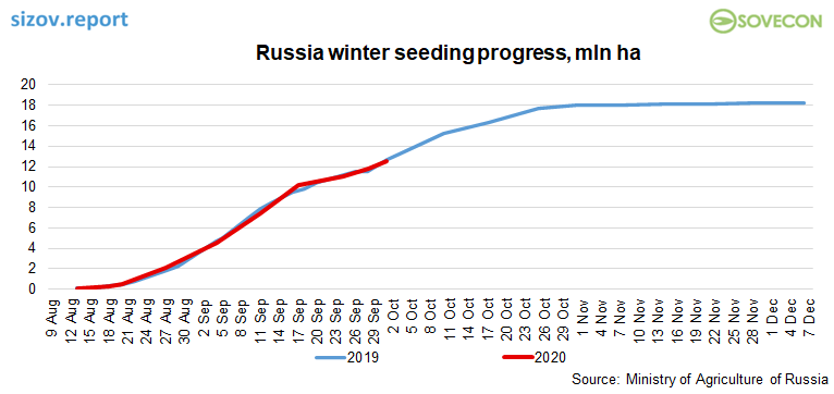 🇷🇺 Despite very dry Autumn, Russian farmers continue to plant #wheat fast, the current pace is close to 2019 which ended with a record high area. We expect another record this year🐻. 

More in today's report: sizov.report/?utm_source=tw…
