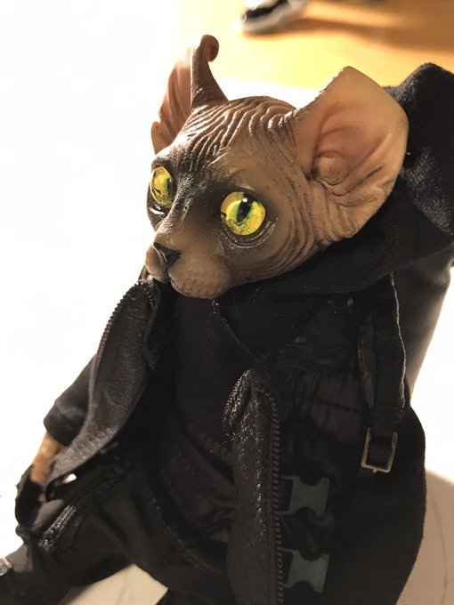 Mr.Z ポケットズートピア 