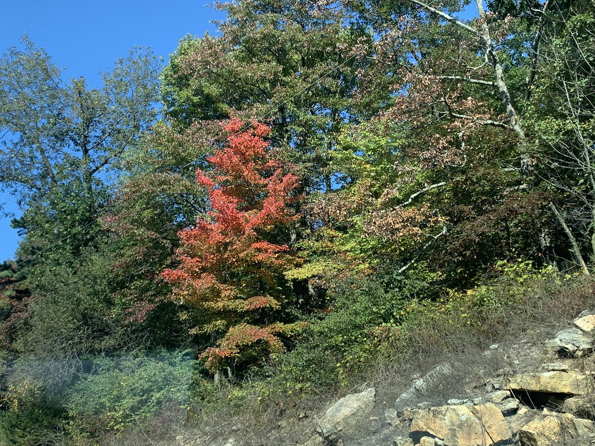 Fall in PA @ElliottEats