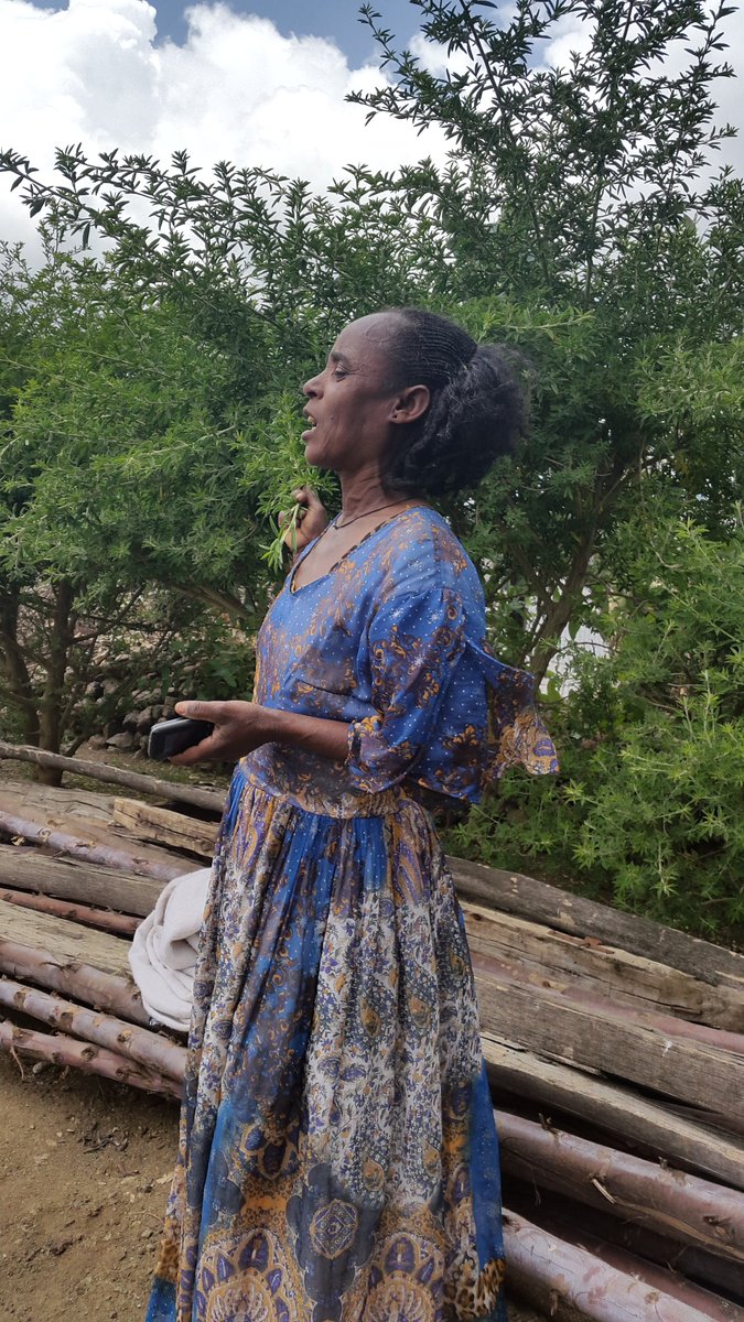 Thanks for sharing <a href="/ProfKindeya/">Kindeya Gebrehiwot, PhD, Prof</a>. Agree. Scaling up cut and carry feeding system is imperative. Btw, through the #Africa Rising project we introduced Tree lucerne and feed troughs for efficient feed utilization #Tsibet #Tigray &amp; we have to scale it up👇 <a href="/ICRAF/">World Agroforestry</a> <a href="/ILRI/">ILRI.org</a>