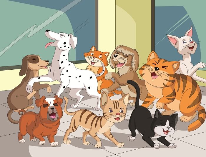 My Book The Inhumane Society Beautiful Illustrations

theinhumanesociety.com

#childrencatbooks